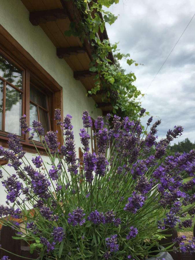 Dom Rodziny Sojkow Bed & Breakfast Bialka Tatrzanska Exterior photo